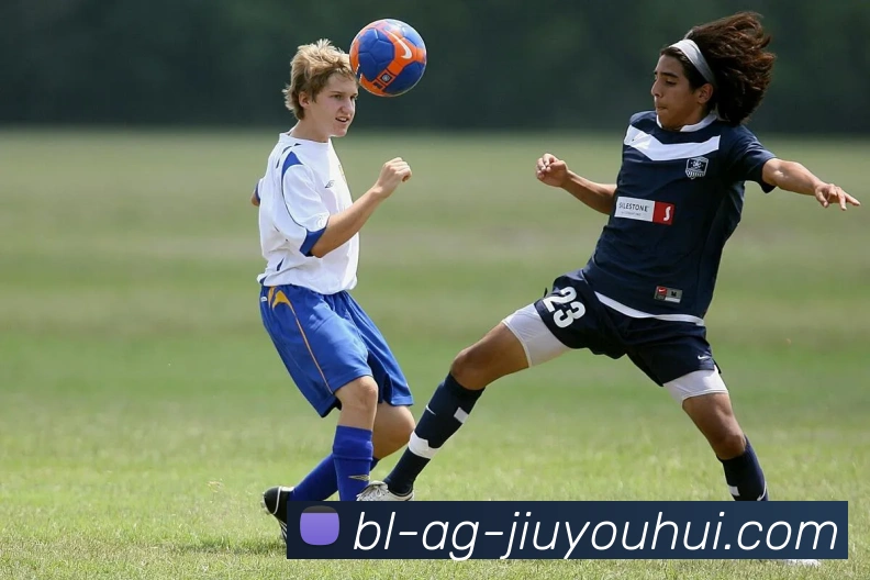 AG九游会官网平台生态图